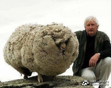 ������������ � ������� 6-�� ��� ����