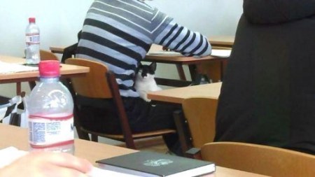 �������� ;)