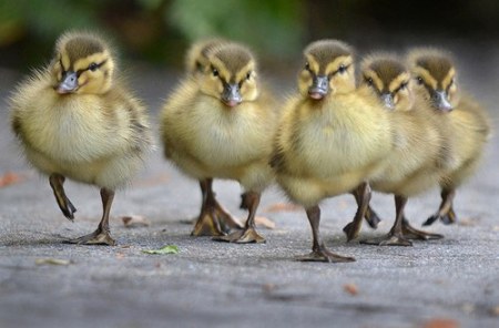 ��� ������ ������ � ���? ��� ������������ ����� :)