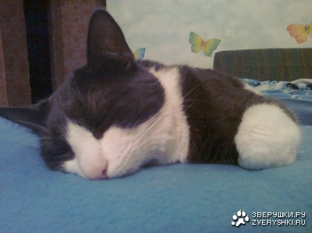 �� ������-�������� ���� :)