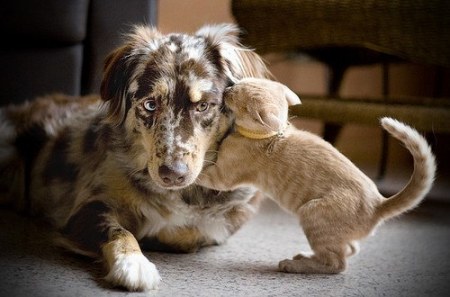 ������������ ;)