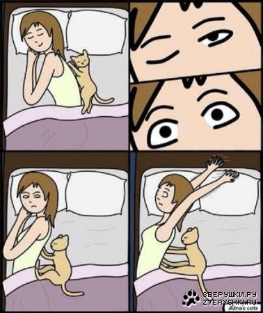 � ��� ������ ����... :)