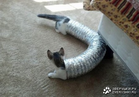 ������� ��� :)