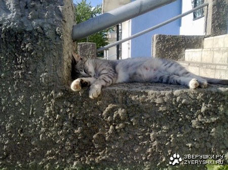 ��������� ;)