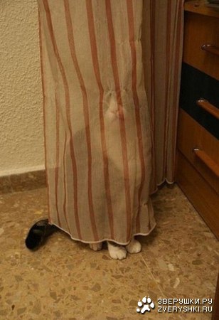 �����, ������� �� ����� ������ � ������ (10 ����)