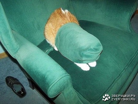 �����, ������� �� ����� ������ � ������ (10 ����)