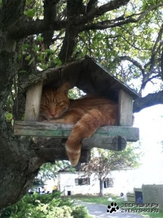 �����, ������� �� ����� ������ � ������ (10 ����)