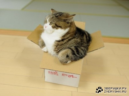 ��������� :)