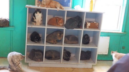 ������ :)