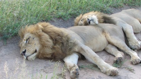 ��������� ;)