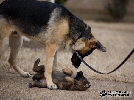 ���� � ��� ;)