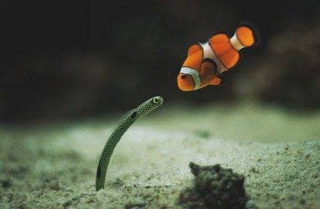 ���������� :)