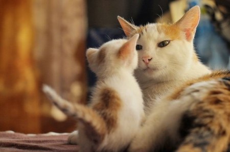 ������ ������������ ����, ��� ������ ��� ����... :)