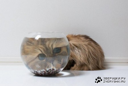 ������ ����� �������� ����� :)