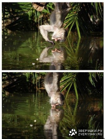 � ���� �����! :)