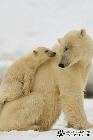 ����� � ����� :)