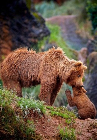 ������ �������� ��� � ����� ������� :)