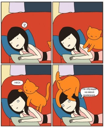 ��� ����� ������ ��� ������ ���� :)