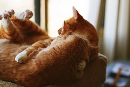 ������������ ��� ��������! :)