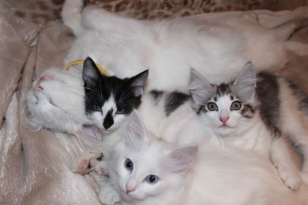 ��������! ������ ����� ������!