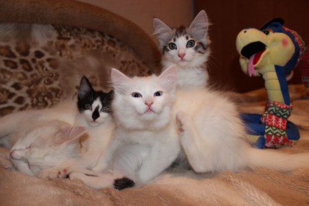 ��������! ������ ����� ������!