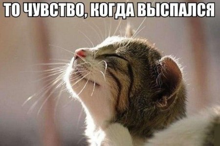 �������� :)