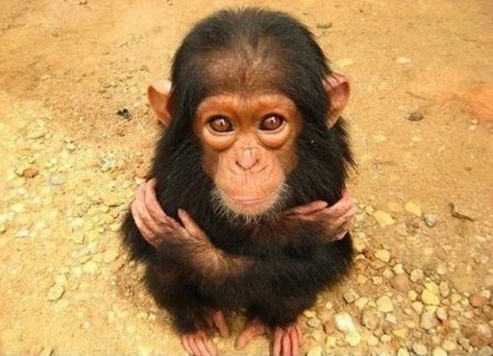 ����� ���������! :)