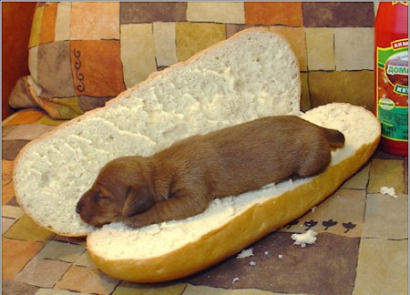 ���-��� :)