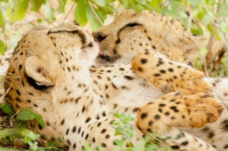 ������������� ������� ;)