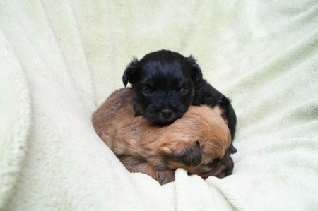 ����� ����� ������� :)