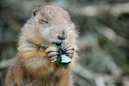 ���������� ��������� :)