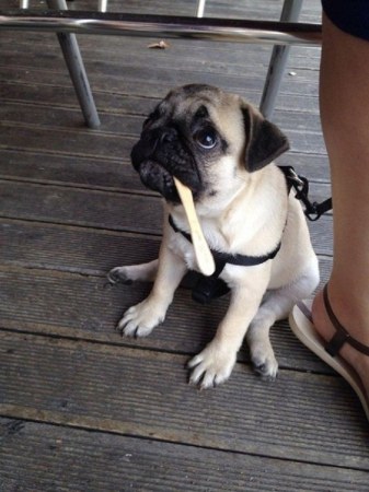 ������ ��������� ��� ������ �����������...