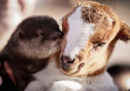 �������� �������: ����� � ������� :)