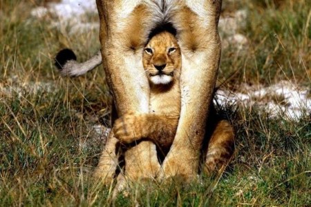 ��� ������� �������!