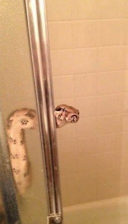 ��������� ��� :)