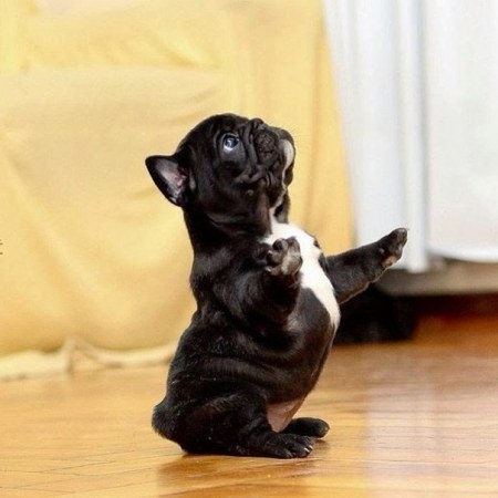 ���� �� �����!