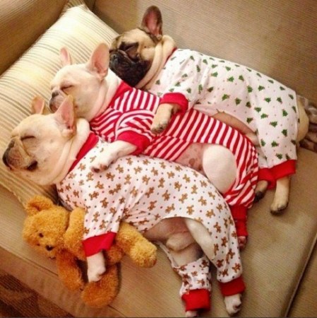 ������� ���� :)