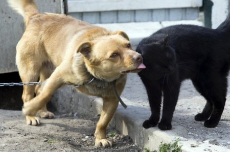 ��������� ������ ;)