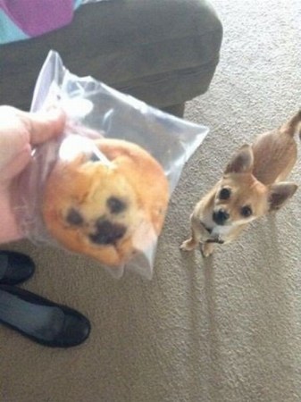 ��������� �������� :)