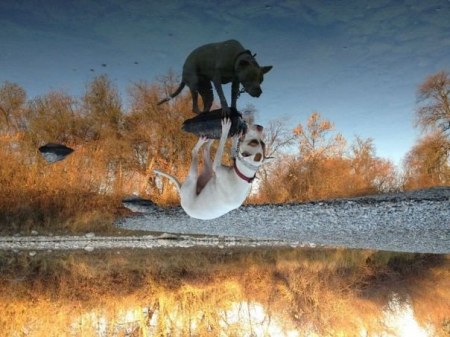 �� ����� "�������� ����" :)