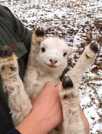 ���������� ����������� ������� :)