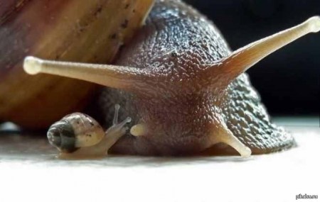 �� ������� ;)