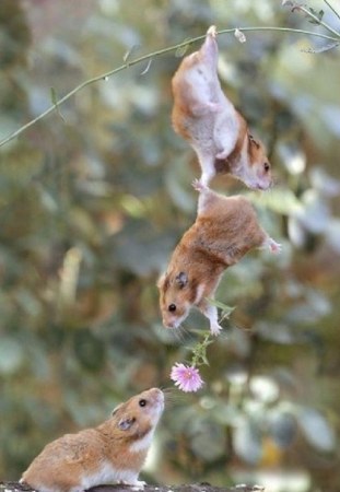 �� ���� �� :)