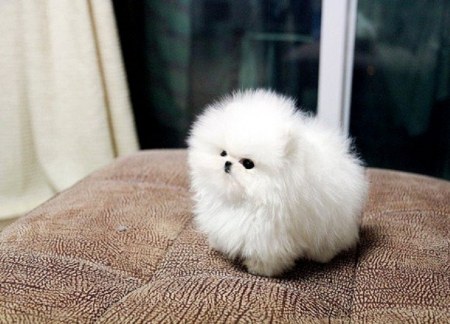 �������� ����� �� ������ :)