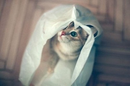 ��� � ����� :)