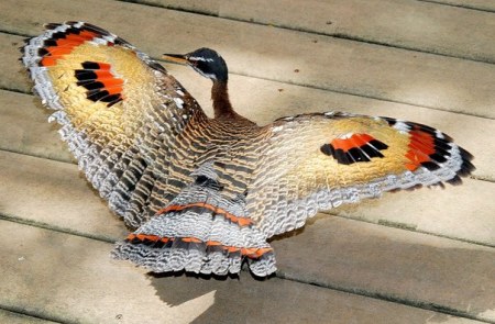 ��������� �����