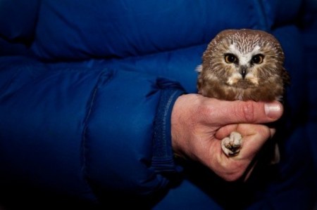 ��������� ���� :)