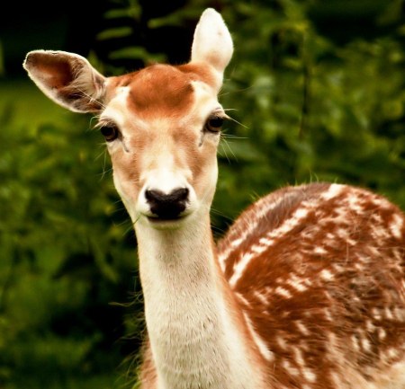 ���������� ����� (7 ����)