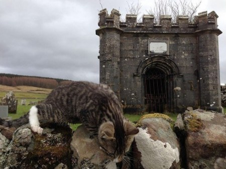 ������ ������������ � �������! (6 ����)