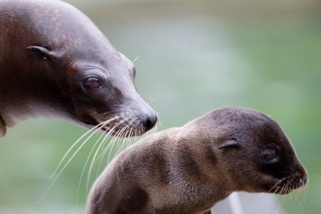 ����� ��������...